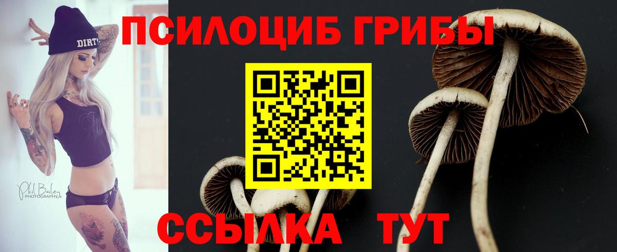 Пыть-Ях  Псилоцибиновые грибы мухоморы  Псилоцибиновые грибы Psilocybine cubensis  Вход с VPN 